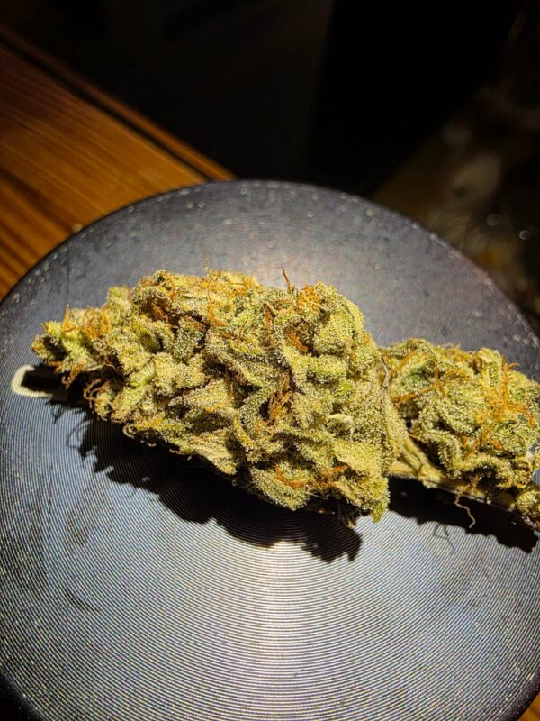 A.O.M. - Angry Orange Man [White Runtz (QT cut) x Tangie]
