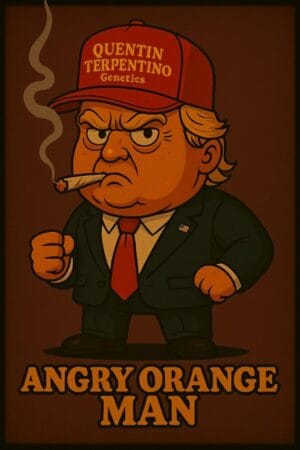 A.O.M. - Angry Orange Man [White Runtz (QT cut) x Tangie]