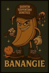 Banangie [Banana (3 selected phenos) x Tangie]