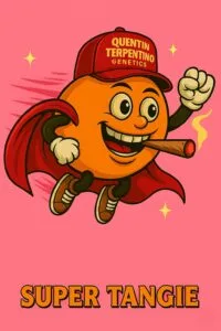 Super Tangie [Super Lemon Haze (3 selected phenos) x Tangie]