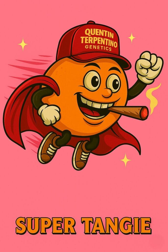 Super Tangie [Super Lemon Haze (3 selected phenos) x Tangie]