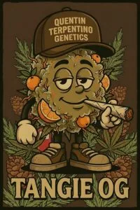 Tangie OG [96‘OG Kush x Tangie]