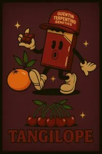 Tangilope [Chocolope x Tangie]