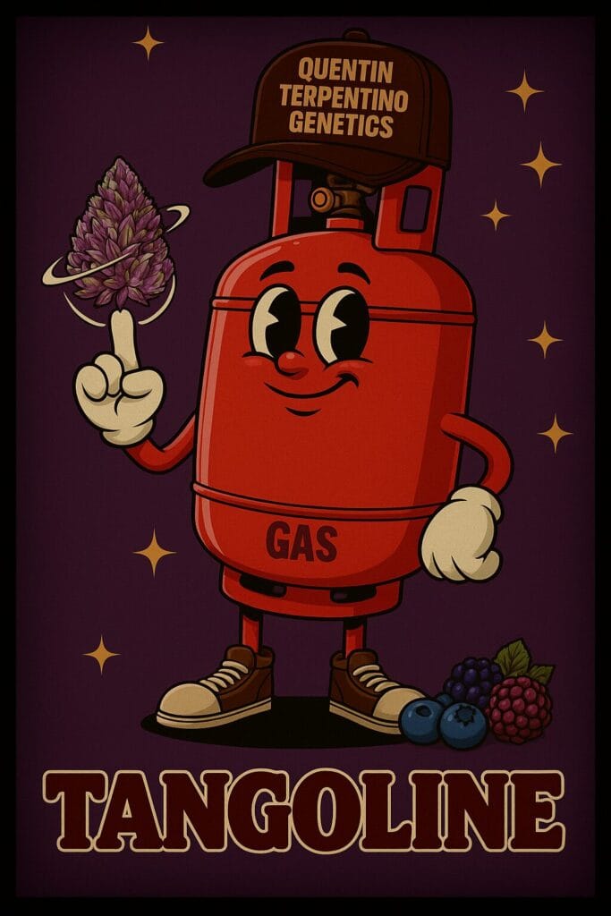 Tangoline [Gas Plant (Gazzurple s2) x Tangie]