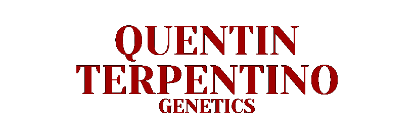 Quentin Terpentino Genetics