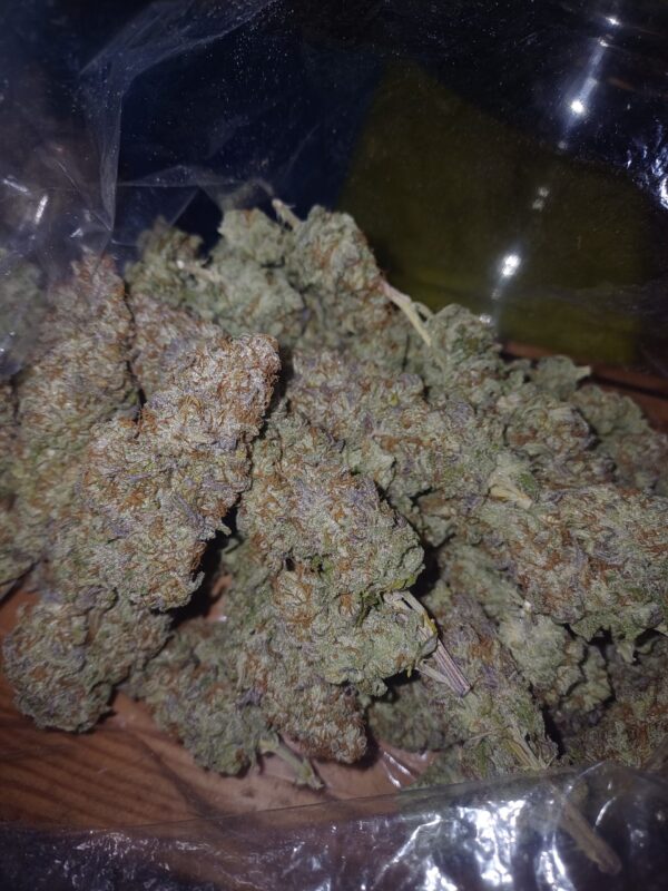 Noir De Clove [Garlic (GMO bX) x Skunk x Secret Genetic]